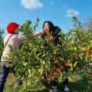 정진수농장 이미지