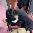 록테니스아카데미