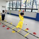 신세계 태권도 이미지