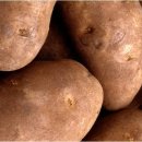 달콤한(sweet) 고구마(sweet potato)는 sweet sweet potato? 이미지