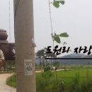 도원마을회관 이미지