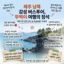 제주정투어 | 제주 서귀포 버스투어 뚜벅이 여행 감성 코스 후기
