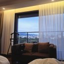 제주선샤인호텔 | 제주 서귀포 호텔 파크선샤인 조식부터 근처맛집까지 솔직후기