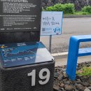 제주 올레길19코스(조천만세동산~김녕항) 이미지