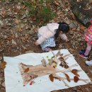 금란어린이집 이미지