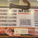 돌리고제주도야지 이미지