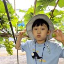 이레농장2 이미지