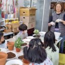 오호초등학교 이미지