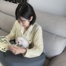 교보문고 바로펀딩에서 선보이는 새로운 독서쿠션, 레벨업쿠션!