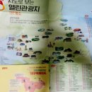 대구천 이미지
