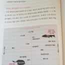 25번째 책- 산부인과 의사에게 속지 않는 25가지 방법