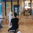 이리오개 이미지