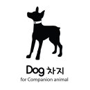 사랑 DOG 차지 이미지