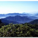 ﻿김연준 시 곡 청산에 살리라(경북 청도 운문 마온산 솔개 골짜기) - 테너 박인수, 엄정행 이미지