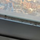 우남샘물타운 이미지