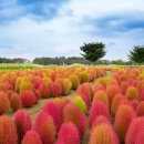 갯골생태공원(인포센터) 이미지