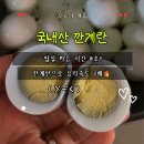 껍질 스트레스 없는 깐계란! 국내산 20구로 계란장조림 편하게 만들기 (식자재마트)