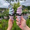 유레카공터영어교습소 | ❀8박9일 도쿄 DAY 6❀ 후지산, 가와구치코, 오이시공원, 라벤더 아이스크림, 후지레이크호텔