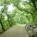 C ART MUSEUM 이미지