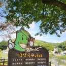 죽녹원 착한 맛집 이미지