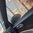 삼척IC셀프세차장 이미지