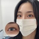 래쉬업스튜디오 | 안산속눈썹연장 래쉬업스튜디오에서 내게 딱 맞는 속눈썹 찾았어요