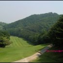 파인회원권거래소 이미지