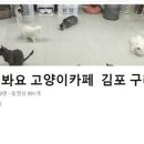 모여봐요 고양이 카페 이미지