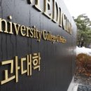 [단독]의대 학장들 "증원 신청 기한 연기해달라"…정부에 보이콧 고심 이미지