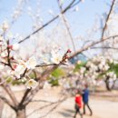 보인한의원 이미지