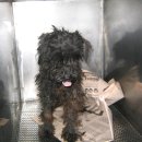 인왕유치원 이미지