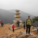 시선동 티스토리