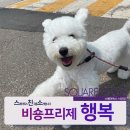 스퀘어독스 서산점 이미지