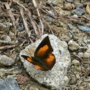 합천가축병원 이미지