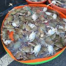 바다내음펜션 이미지