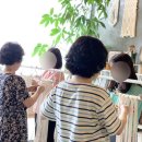 함덕초등학교선인분교장 이미지