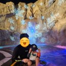 PET39다0587 | 한화리조트 속초 워터피아 할인 꿀팁부터 나이트스파 정보와 후기까지 총정리!