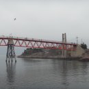 신선 낙지 이미지