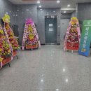 연스크린골프 이미지