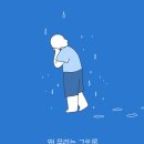 파트라슈