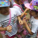 시흥5동 어린이집 이미지