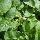 한일농장 이미지