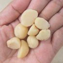 피키커피 | 🥜 호주산 프리미엄 생마카다미아, 피키너츠 솔직 후기