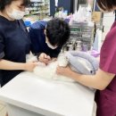 안산동물병원 이미지