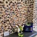 데일리오아시스 동편마을점 이미지