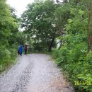 저수지길 이미지