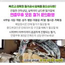 춘양카센타 이미지