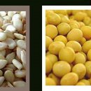 농업회사법인주식회사 자연과전남 이미지