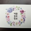 애플결혼정보 이미지