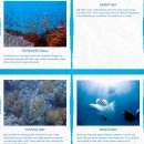 원선1로2 | 발리 렘봉안 만타 가오리 스노클링 후기, 렘봉안스노클링트립